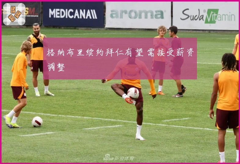 格纳布里续约拜仁有望 需接受薪资调整