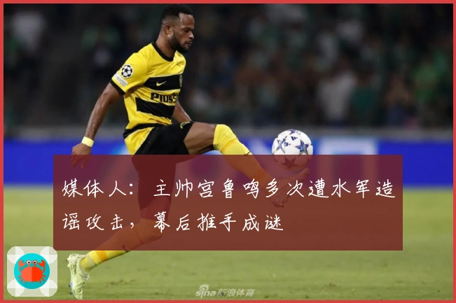 媒体人：主帅宫鲁鸣多次遭水军造谣攻击，幕后推手成谜