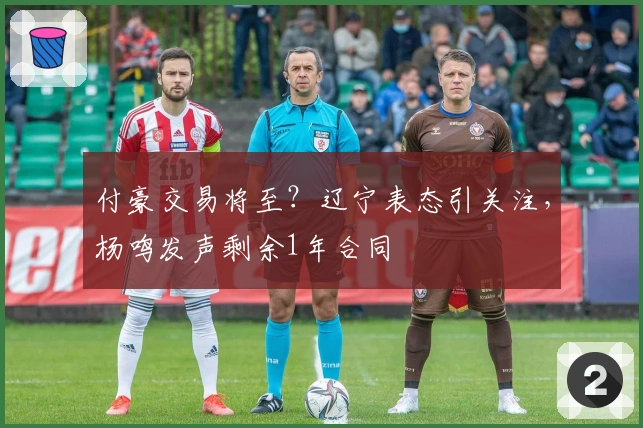 付豪交易将至？辽宁表态引关注，杨鸣发声剩余1年合同