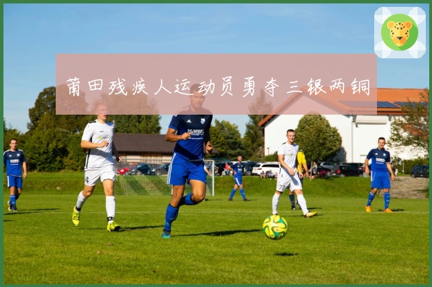 莆田残疾人运动员勇夺三银两铜